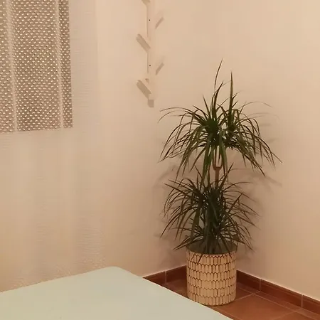 Hétvégi ház Casa Conil de la Frontera